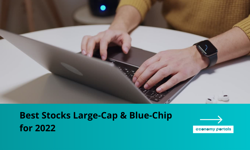 Best Large-Cap & Blue-Chip Stocks to Buy for 2022